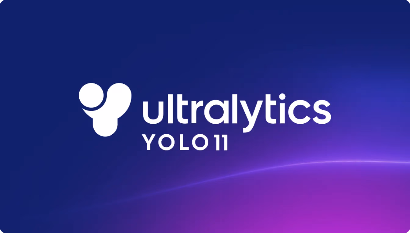 YOLOv11 logo